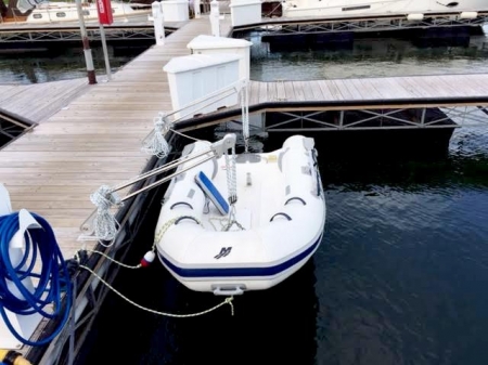 1900 Fixed Adjustable Dinghy Davits, with 15" Riser Arm (extended) and Quick Removable Shoes. Davits Mounted on Dock