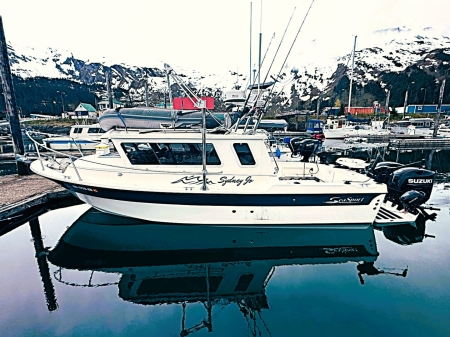 SeaSport Dingy Crane
