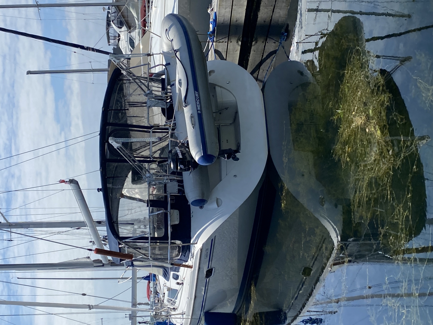 1400 Rotating Davits (Capacity of 250 lbs.)