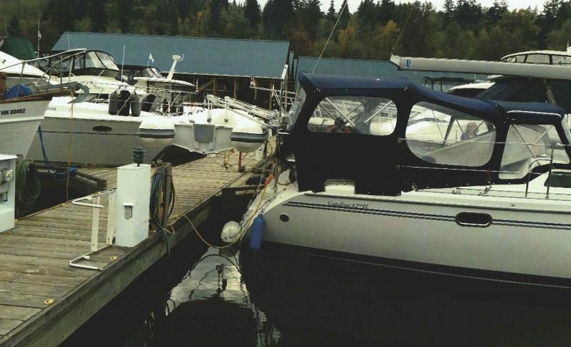 1900 Rotating Davits (Capacity of 300 Lbs.)