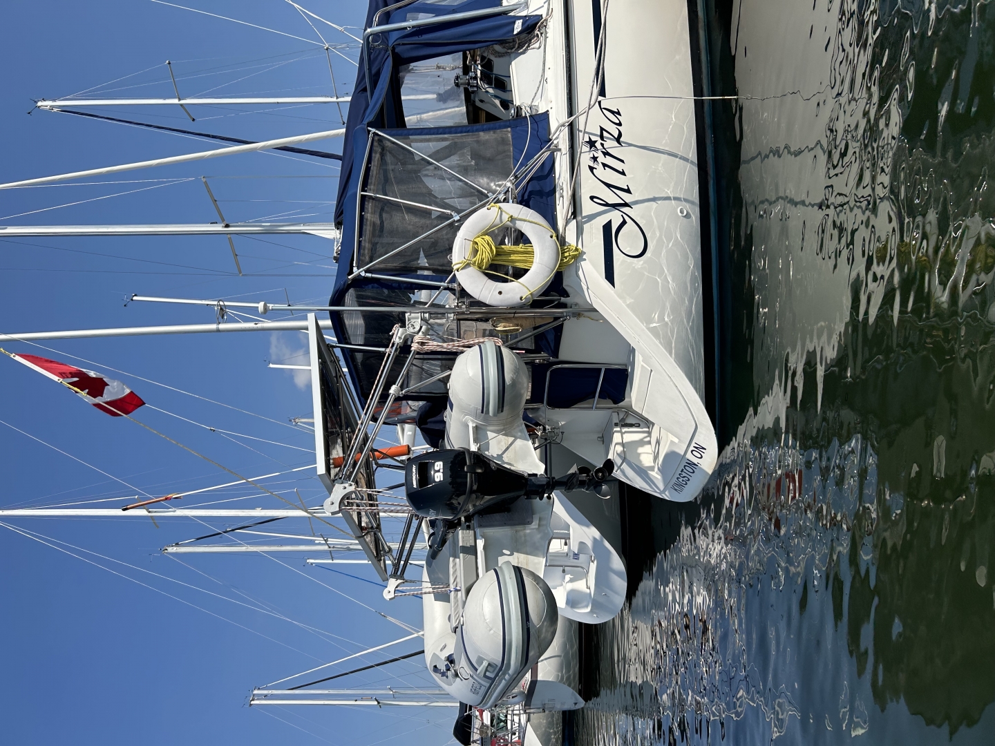 1900 Rotating Davits (Capacity of 300 Lbs.)
