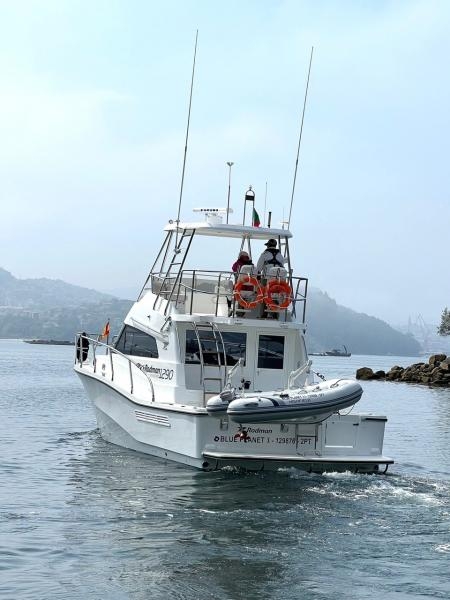 2000 Fixed Davits (Capacity of 350 Lbs.)