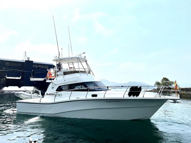 2000 Fixed Davits (Capacity of 350 Lbs.)