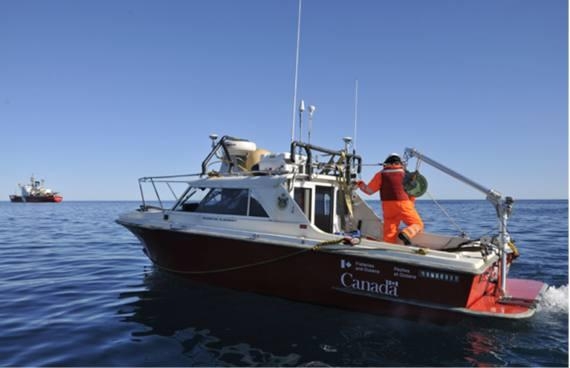 3000R Crane (Capacity 300 Lb.)